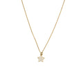 Collana Stella Brillante Acciaio