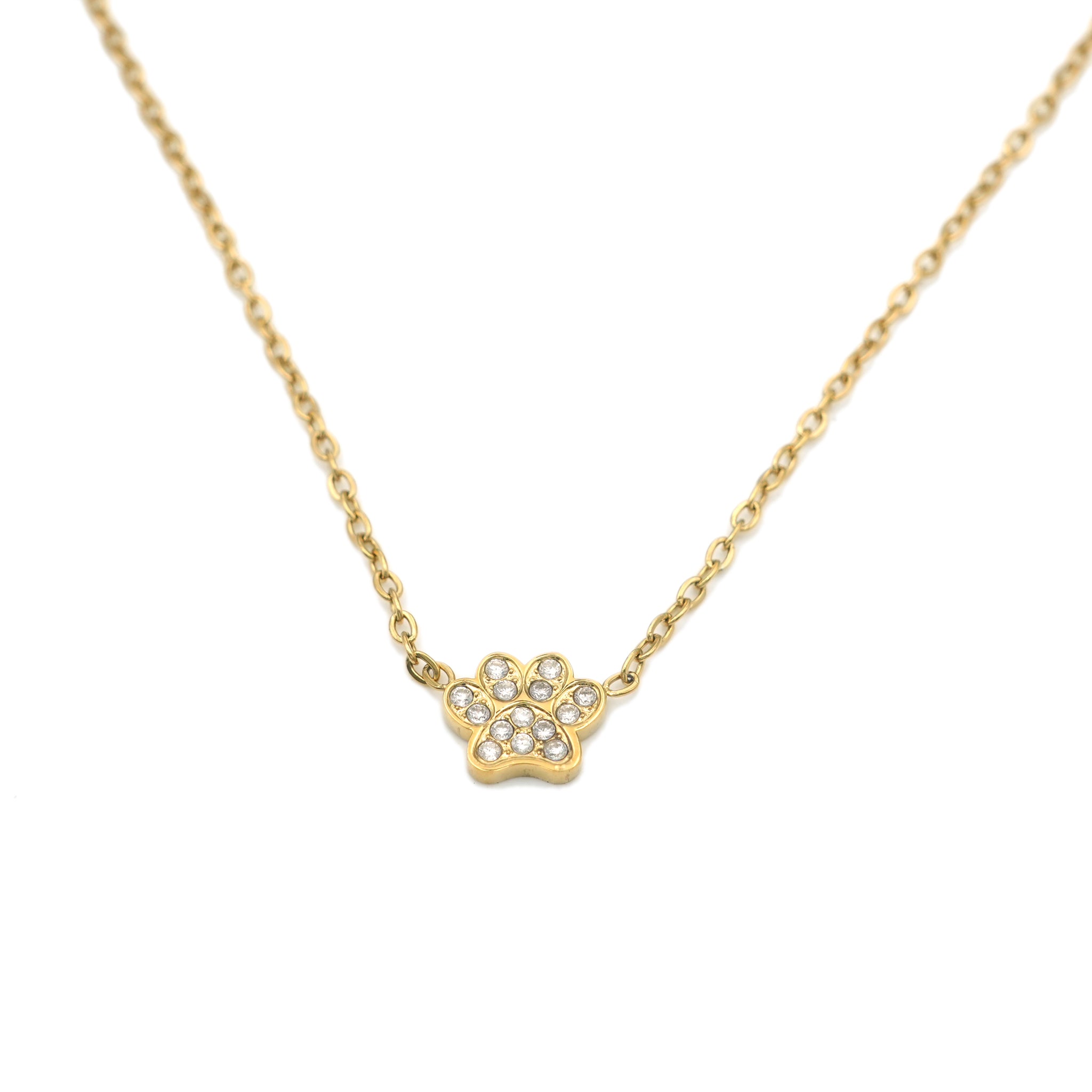 Collana con Ciondolo a Zampa