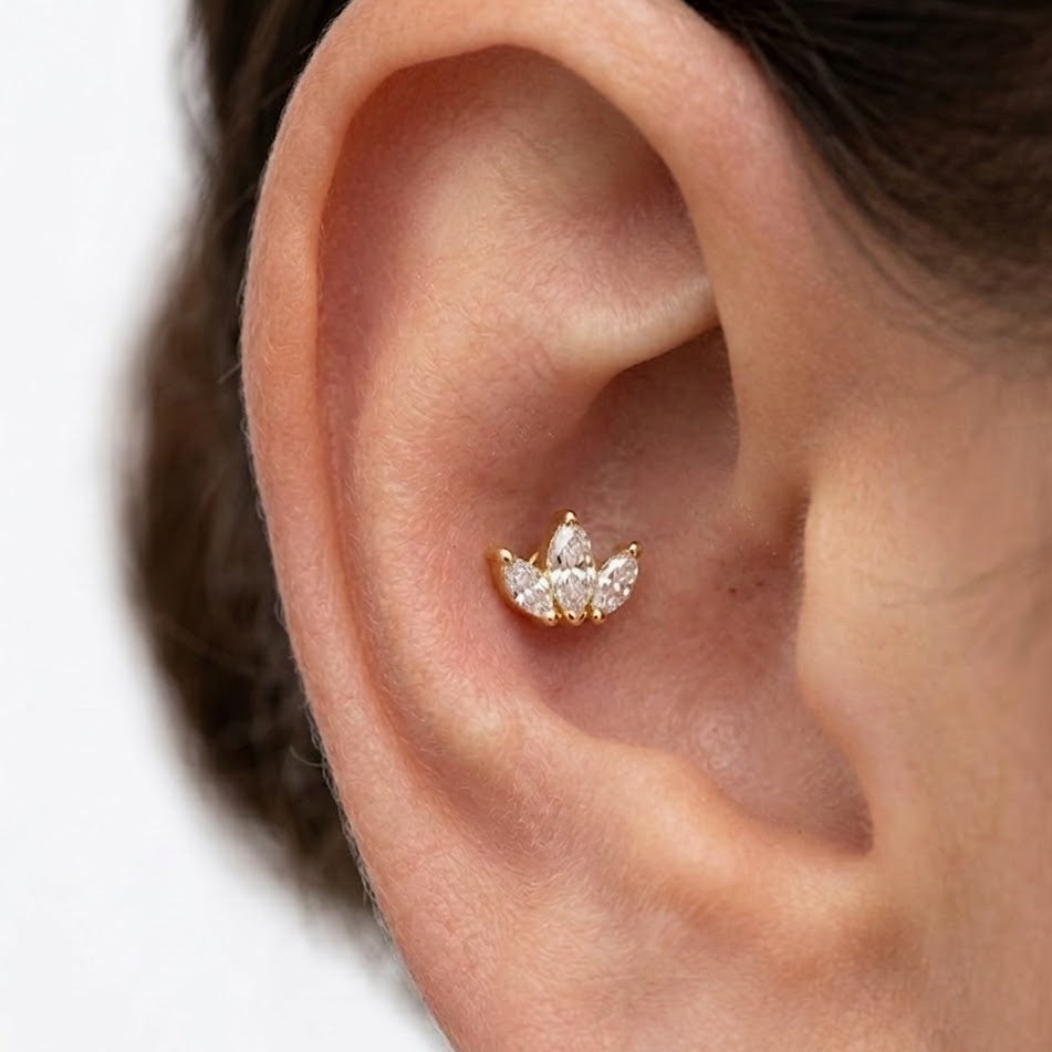 Piercing con Corona di Navette In Acciaio Inossidabile