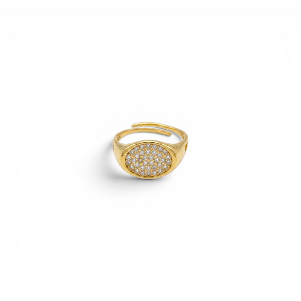 Anello Chevalier Ovale con Pavé di Zirconi In Acciaio Inossidabile