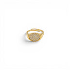Anello Chevalier Ovale con Pavé di Zirconi In Acciaio Inossidabile
