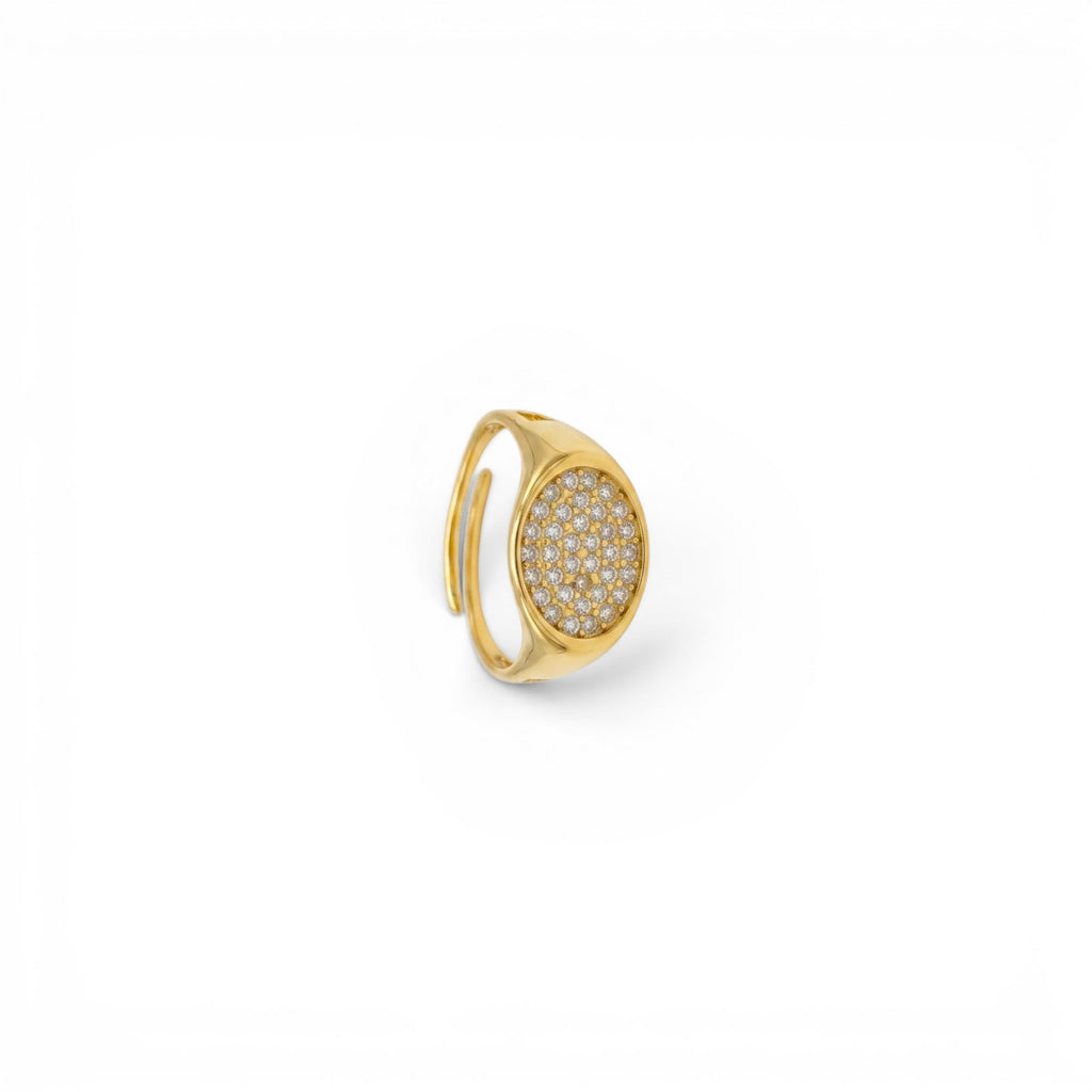 Anello Chevalier Ovale con Pavé di Zirconi In Acciaio Inossidabile