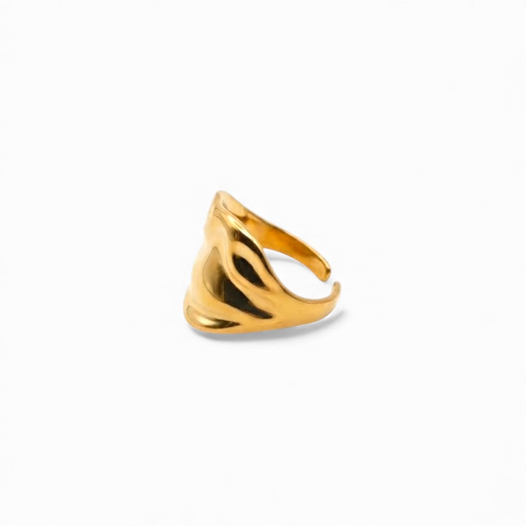 Anello Fascia Aperta a Spirale Fluida In Acciaio Inossidabile