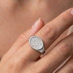 Anello Chevalier Ovale con Pavé di Zirconi In Acciaio Inossidabile