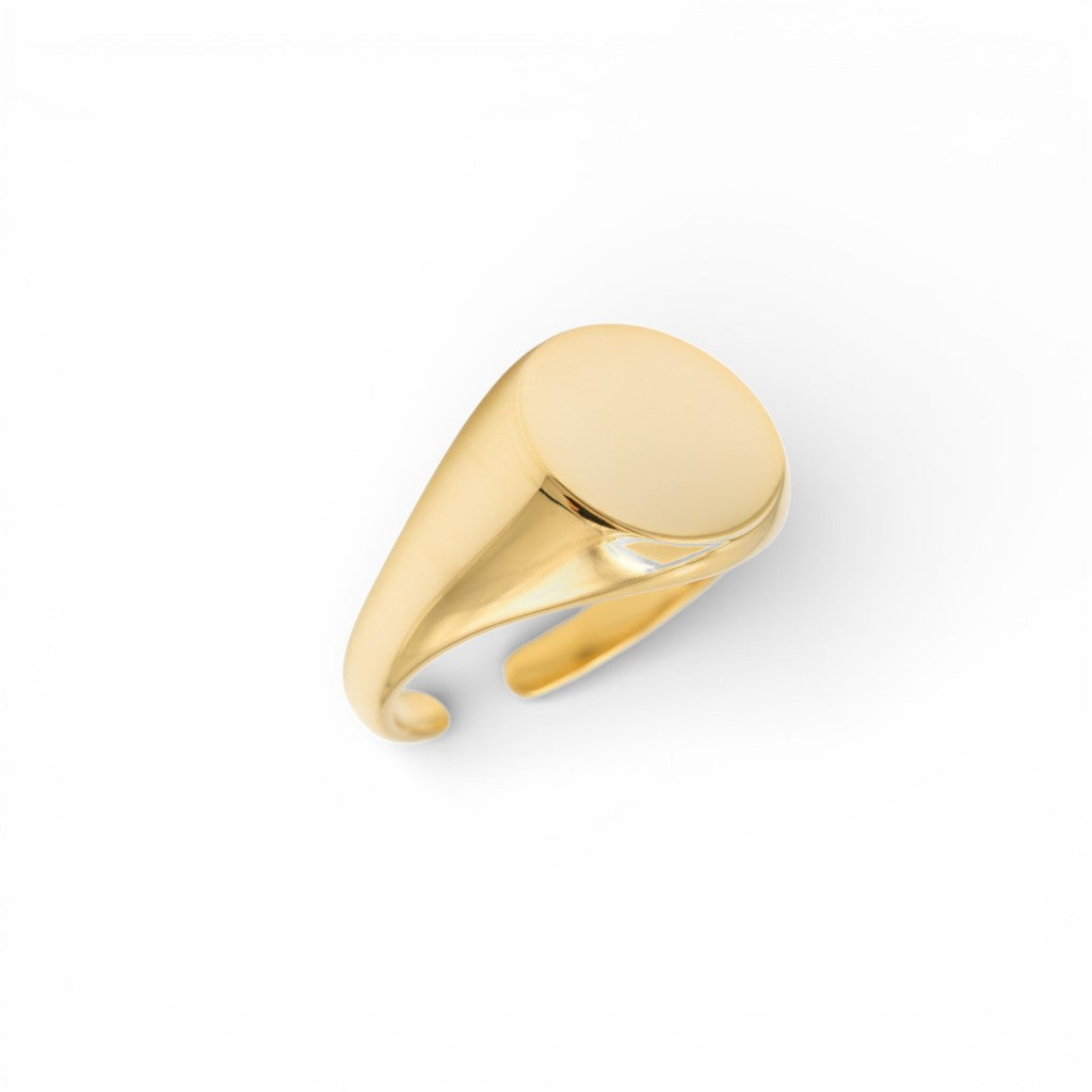 Anello Chevalier In Acciaio Inossidabile
