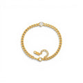 Bracciale Catena Grumetta con Zircone a Goccia In Acciaio Inossidabile