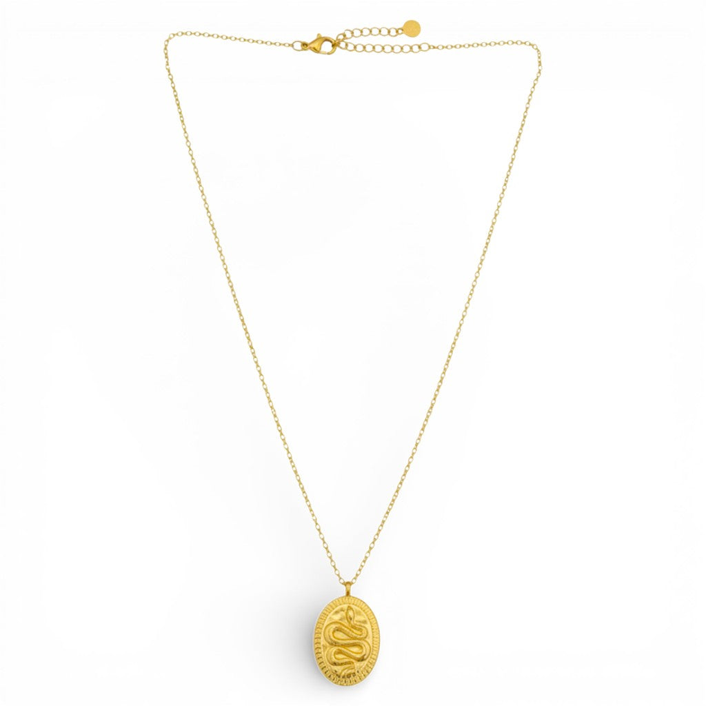 Collana Medaglia Serpente In Acciaio Inossidabile