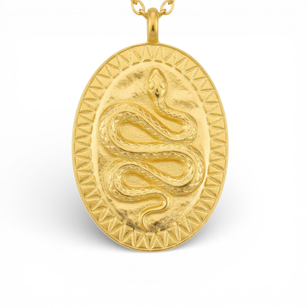 Collana Medaglia Serpente In Acciaio Inossidabile