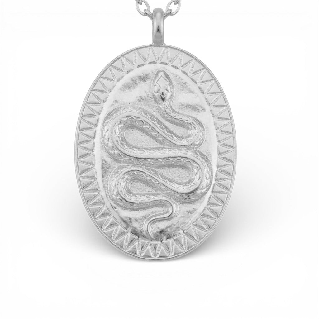 Collana Medaglia Serpente In Acciaio Inossidabile