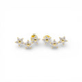 Orecchini Petali Preziosi a Fiore In Argento 925