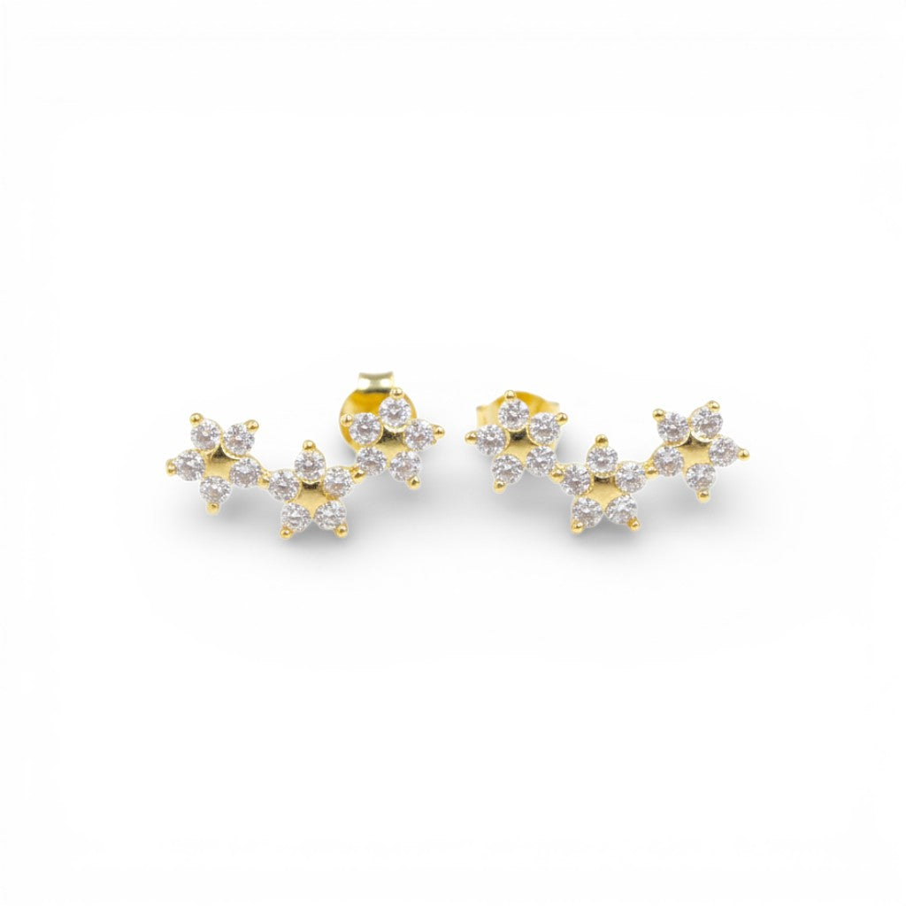 Orecchini Petali Preziosi a Fiore In Argento 925