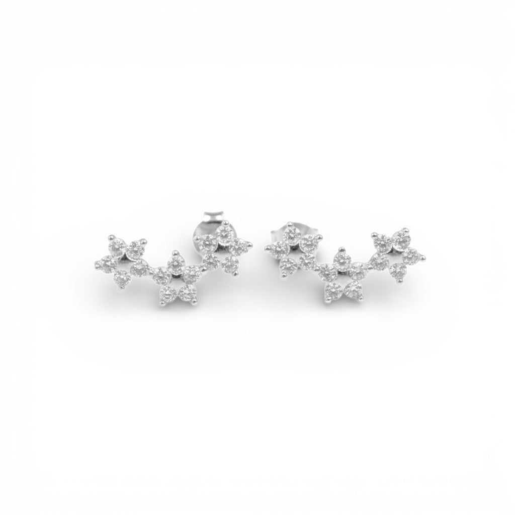Orecchini Petali Preziosi a Fiore In Argento 925