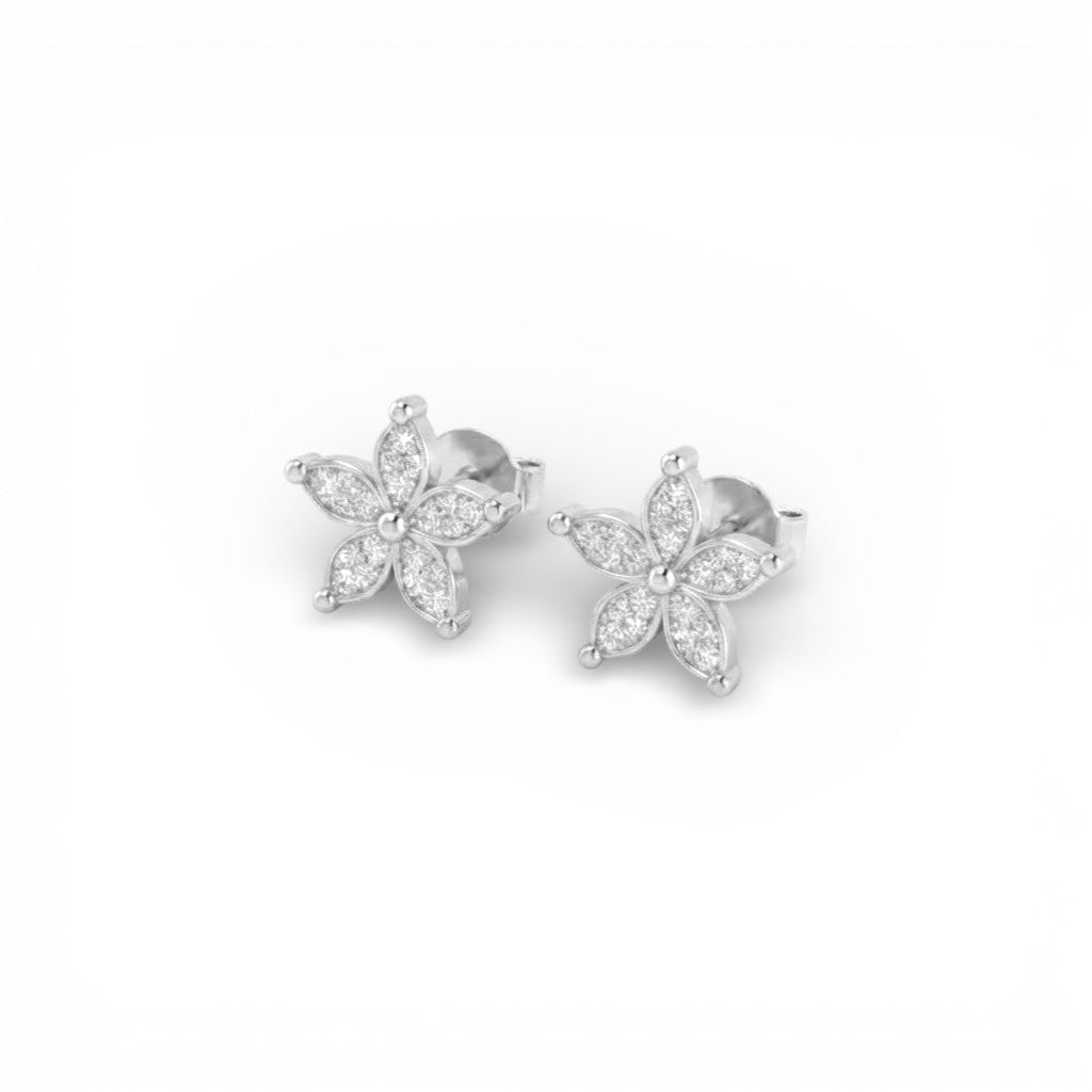 Orecchini Fiore Splendente In Argento 925