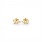 Orecchini "Butterfly Leaf" con Zirconi Navette In Argento 925