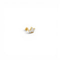 Piercing con Corona di Navette In Acciaio Inossidabile