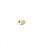 Piercing con Corona di Navette In Acciaio Inossidabile