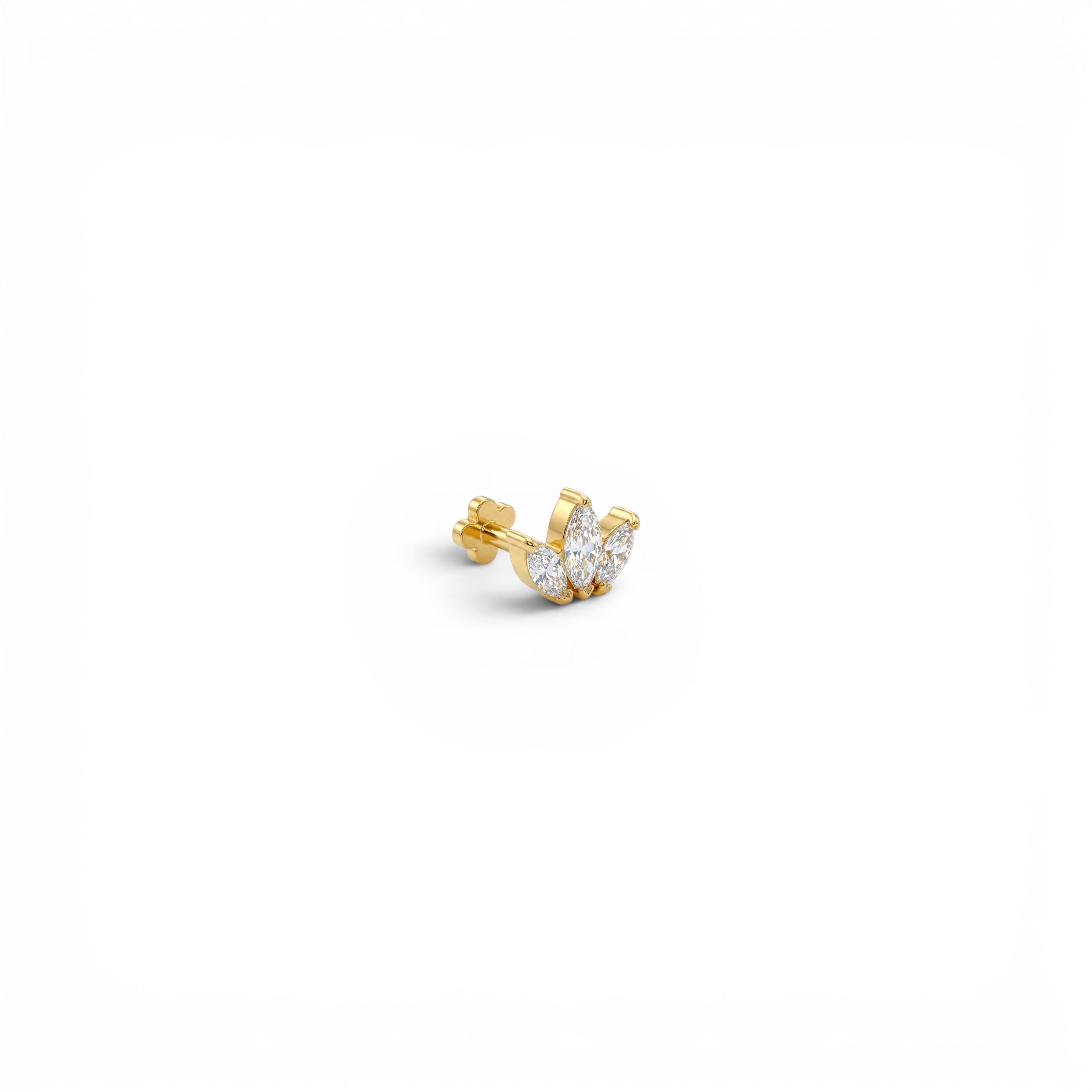 Piercing con Corona di Navette In Acciaio Inossidabile