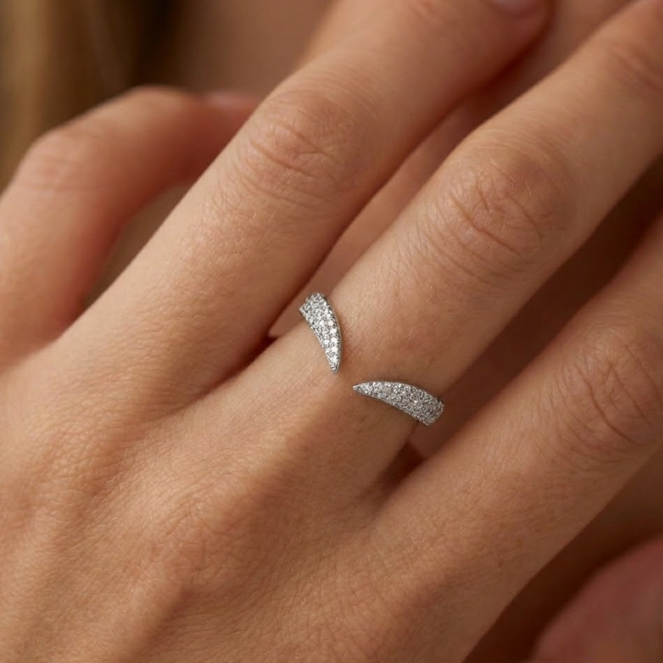 Anello Fascino Prezioso con Zirconi Incastonati In Argento 925