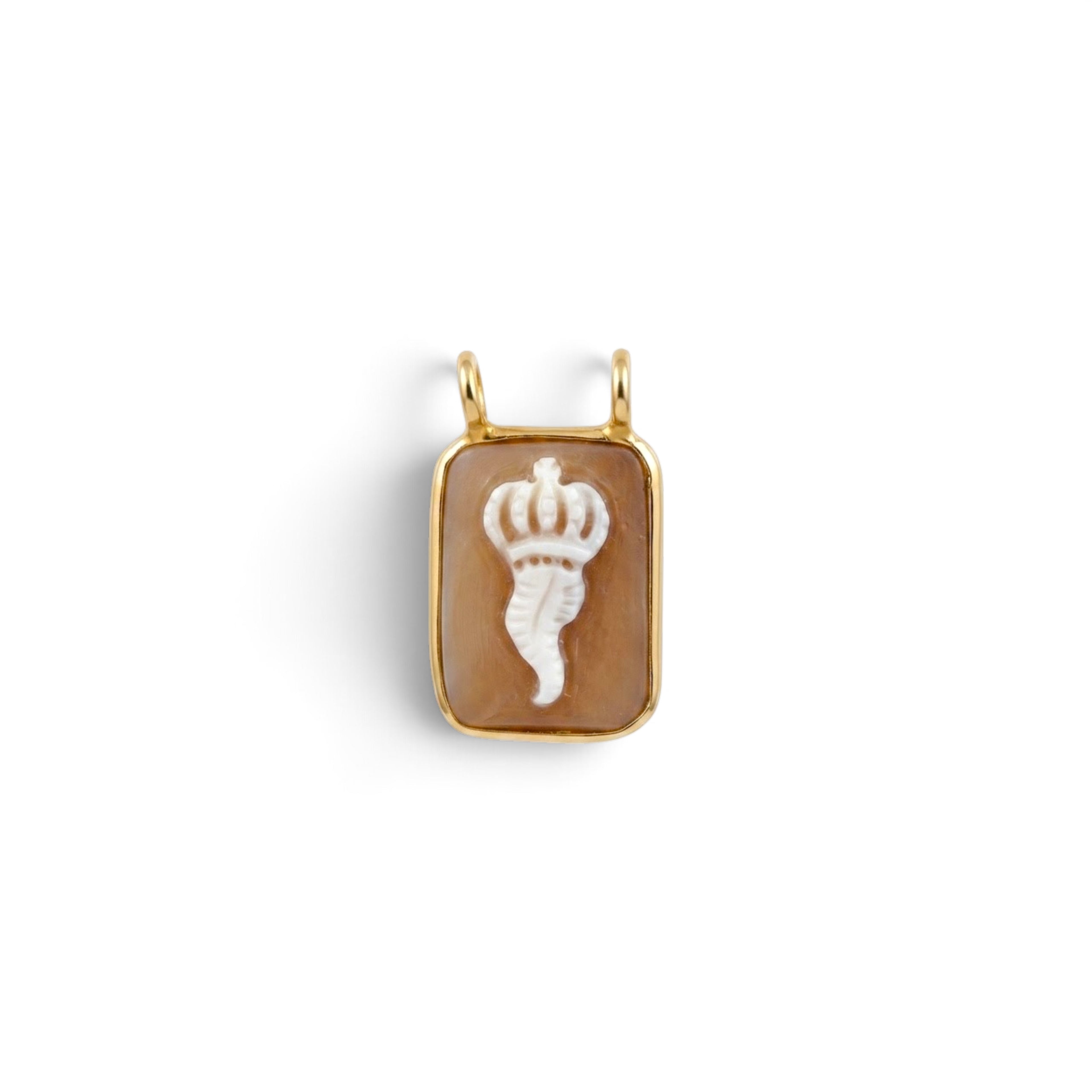 Collana Catenina con Cammeo Corno In Argento 925