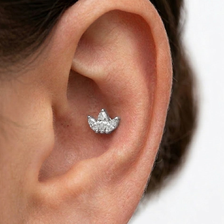 Piercing con Corona di Navette In Acciaio Inossidabile