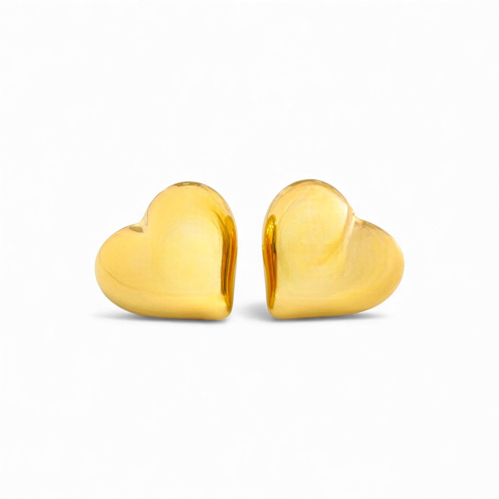 Orecchini a Cuore Bombato In Acciaio Inossidabile