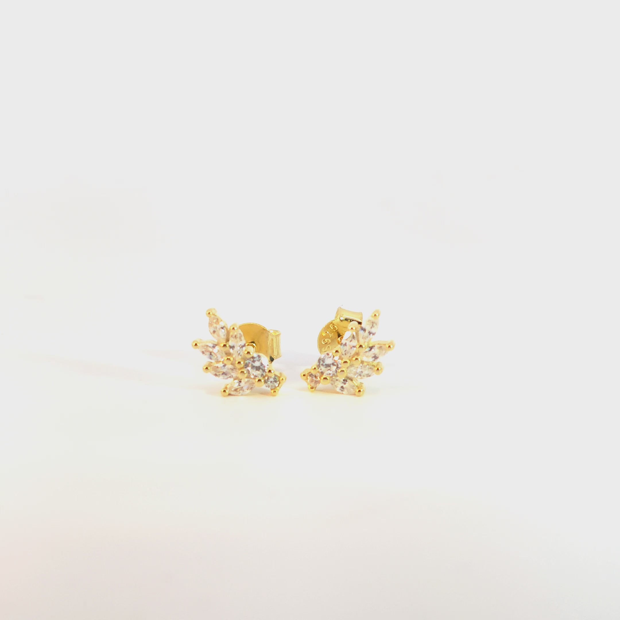 Orecchini Ramo Scintillante a Lobo In Argento 925