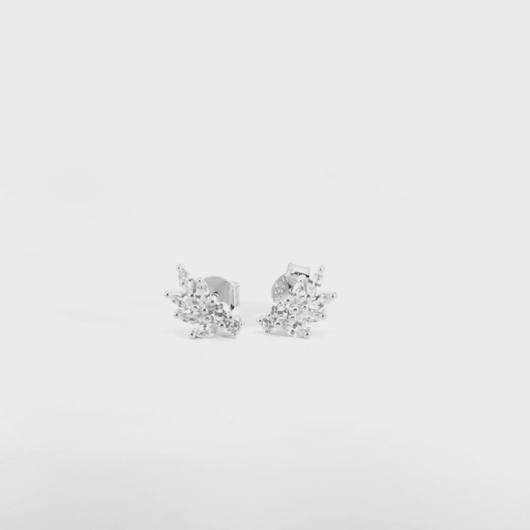 Orecchini Ramo Scintillante a Lobo In Argento 925