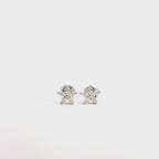 Orecchini Fiore Splendente In Argento 925