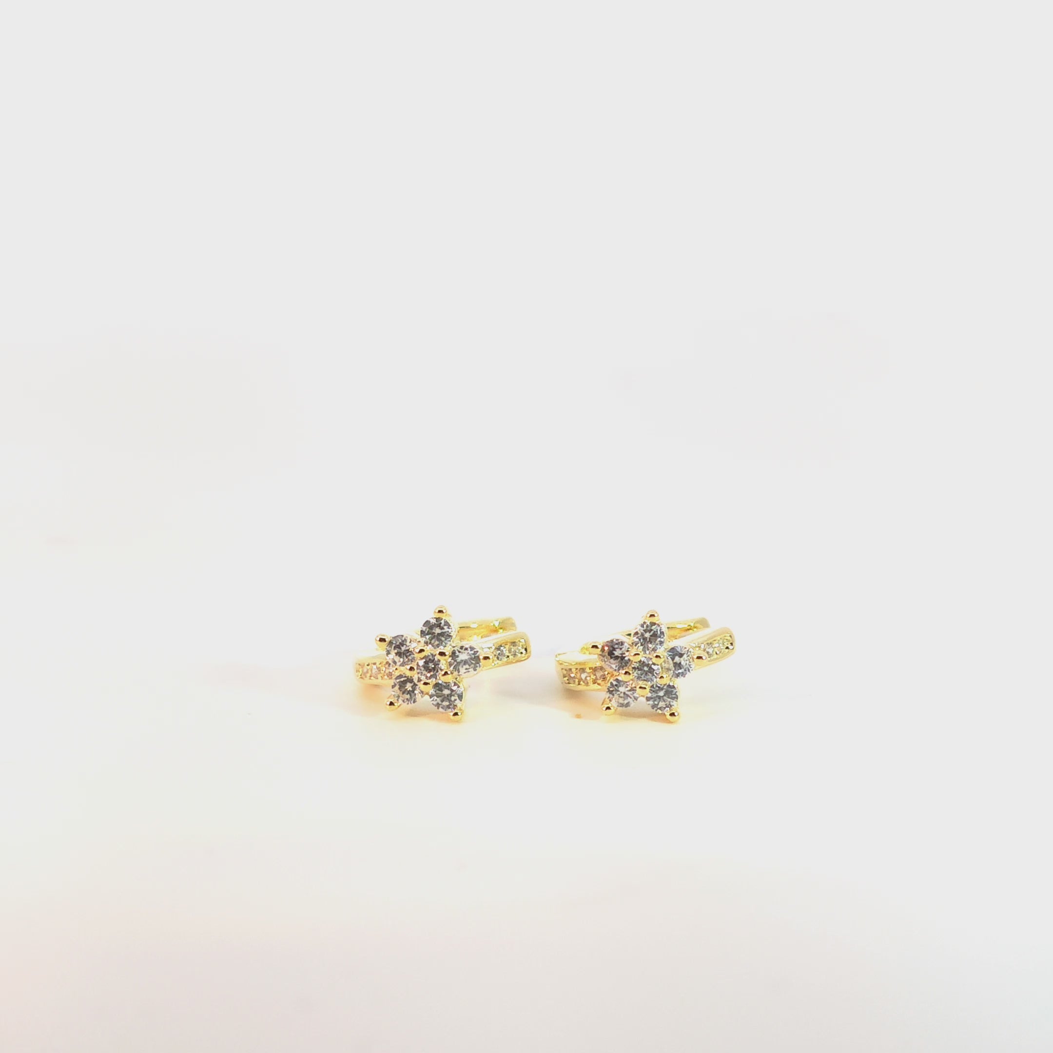 Orecchini Petali di Brillantezza a Fiore In Argento 925