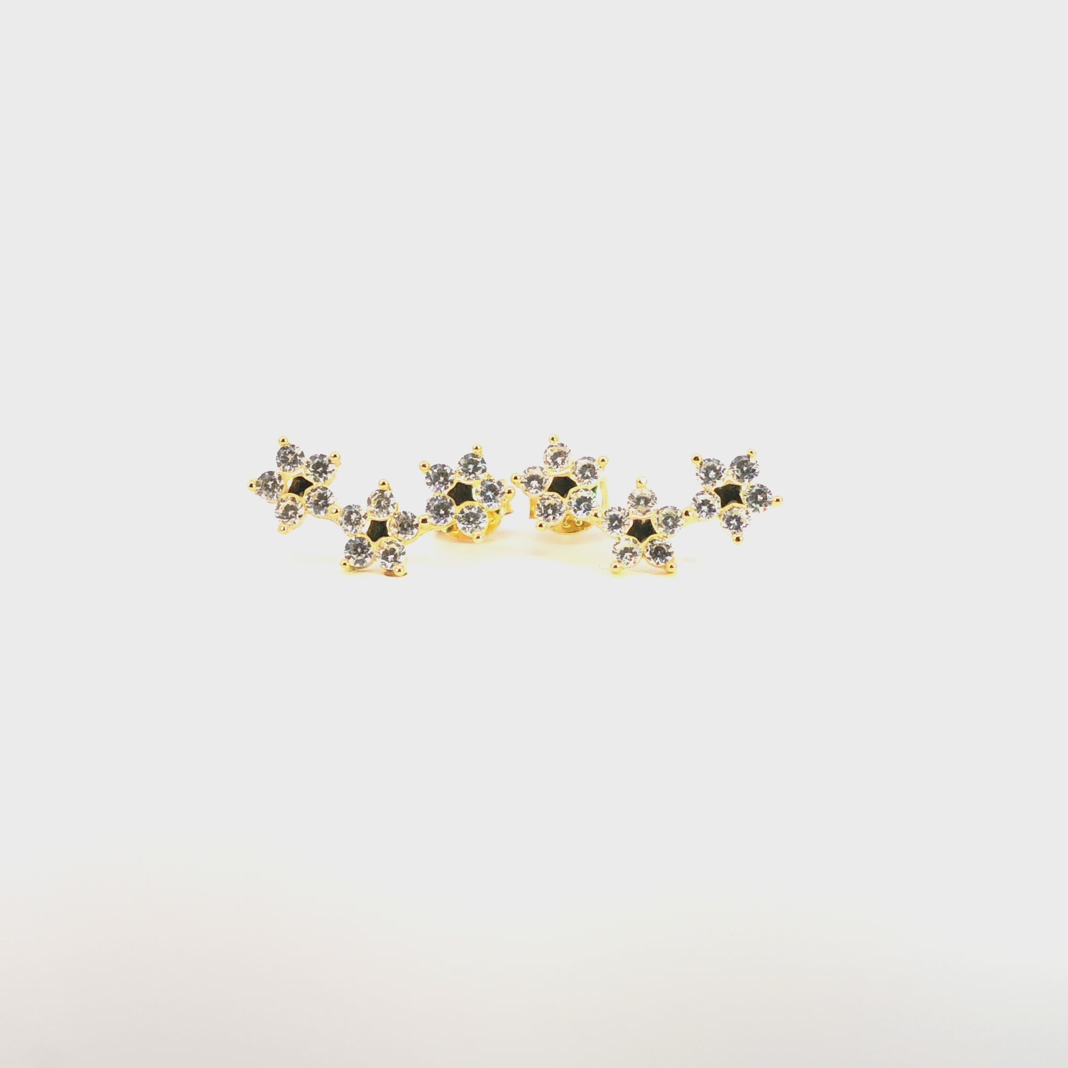 Orecchini Petali Preziosi a Fiore In Argento 925