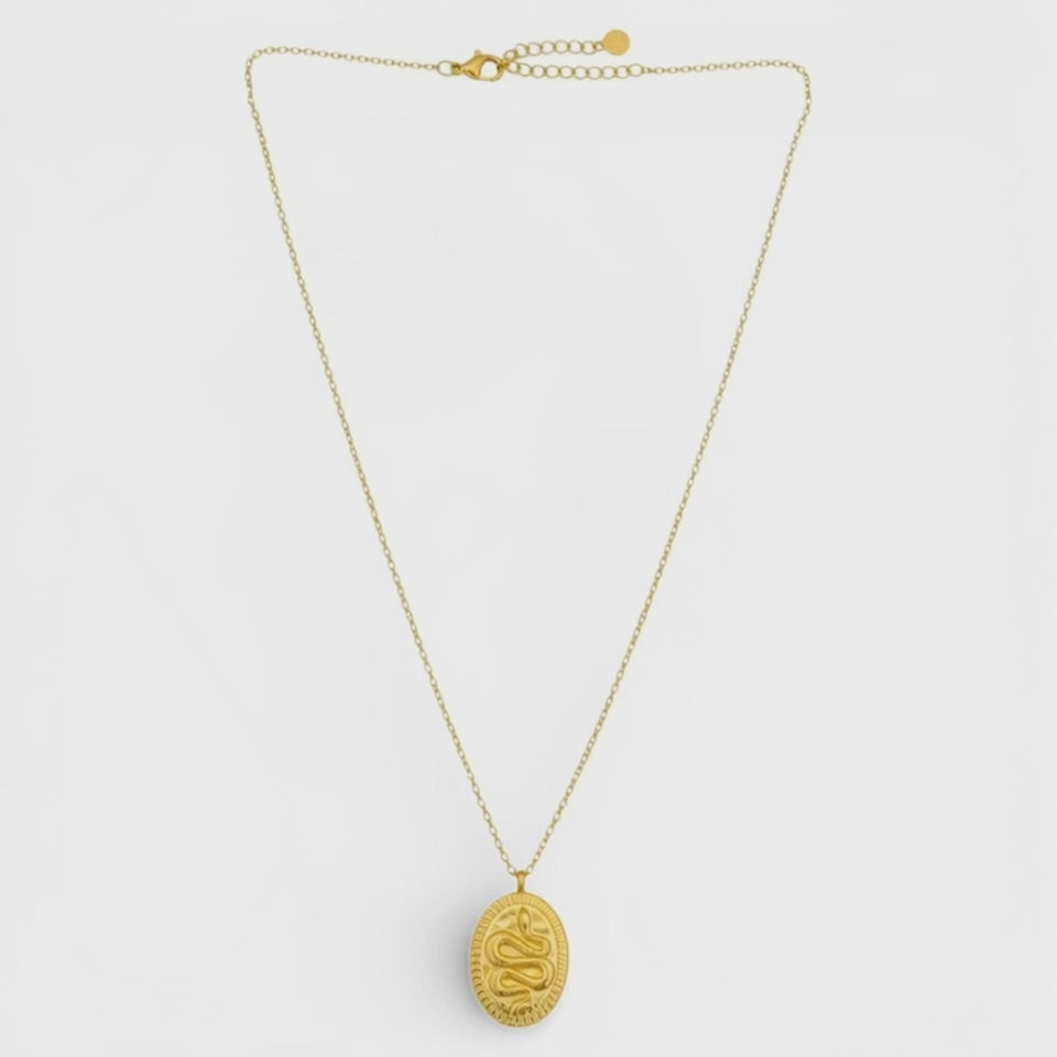 Collana Medaglia Serpente In Acciaio Inossidabile